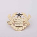 Beret Badge (Anodized) - Customs