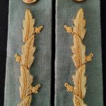 Gorget - Immigration