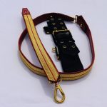 Sword Belt and Sling - Col and Below